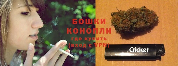 бошки Каменка