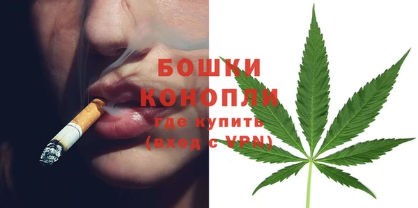 бошки Каменка