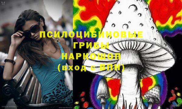 меф Каменногорск